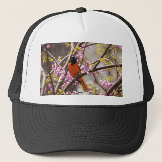 Casquette Baltimore Oriole (Devant)