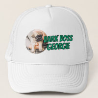 Barre Boss Animaux de compagnie Photo Moderne Simp