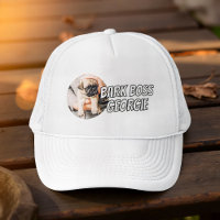 Barre Boss Animaux de compagnie Photo Moderne Simp