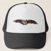 Casquette Bat Pipistrellus pipistrellus illustration (Devant)