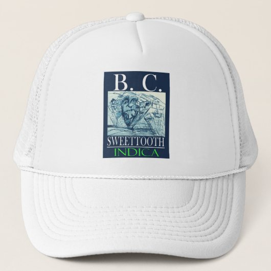 CASQUETTE BC SWEETTOOTH INDICA (Devant)