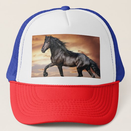 Casquette Beau cheval noir (Devant)