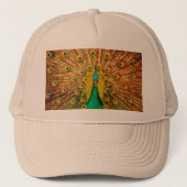 Casquette Beau Peacock (Devant)