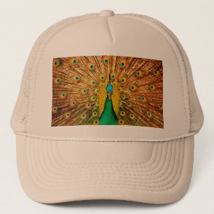 Casquette Beau Peacock