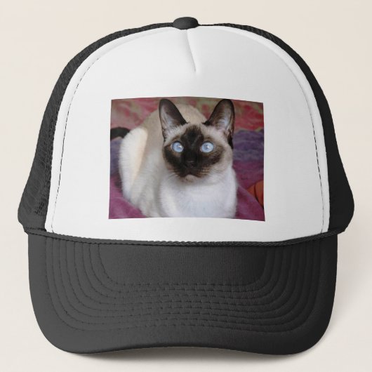 CASQUETTE BEAUTÉ SIAMOISE (Devant)