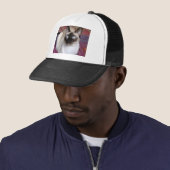 CASQUETTE BEAUTÉ SIAMOISE (En situation)