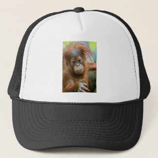 Casquette Bébé mignon Orangutan vue droit devant