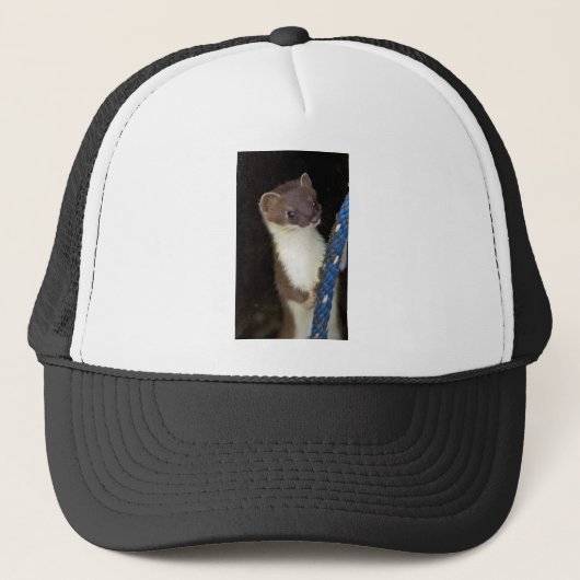 Casquette Belette, Court-coupée la queue (Devant)