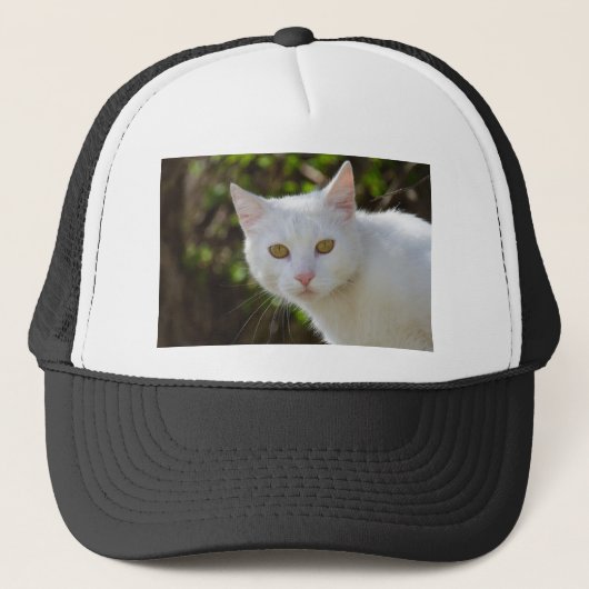 Casquette Belle Chat Blanc (Devant)