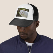 Casquette Belle Chat Blanc (En situation)