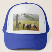 Casquette Belted Galloway Cows On Farm In Rockport Maine (Devant)