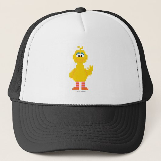 Casquette Big Bird Pixel Art (Devant)