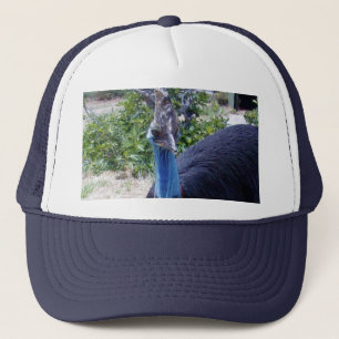 Casquette Big Blue Cassowary Bird,
