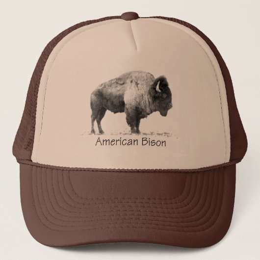 Casquette Bison américain (Devant)