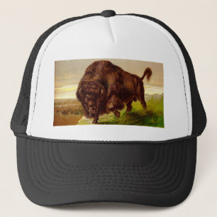 Casquette Bison américain