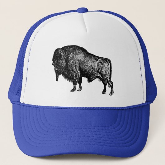 Casquette Bison américain de Buffalo (Devant)