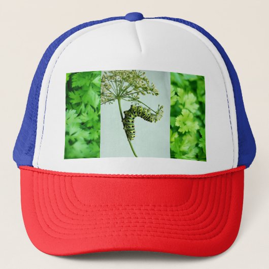 Casquette Black Swallowtail Manger Parsley (Devant)