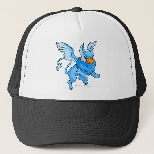 Casquette Bleu d'aire (Devant)