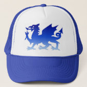 casquette bleu de dragon (Devant)