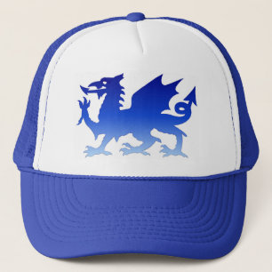 casquette bleu de dragon