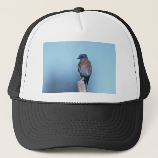 Casquette Bleu de l'Ouest (Devant)