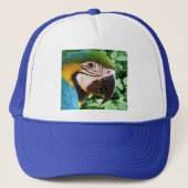 Casquette bleu de perroquet d'ara (Devant)