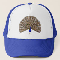 Casquette bleu Peacock