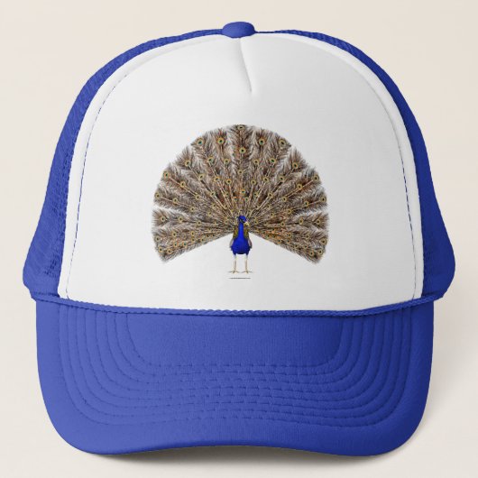 Casquette bleu Peacock (Devant)