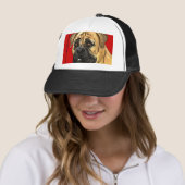 Casquette Bloc couleur Bullmastiff (En situation)