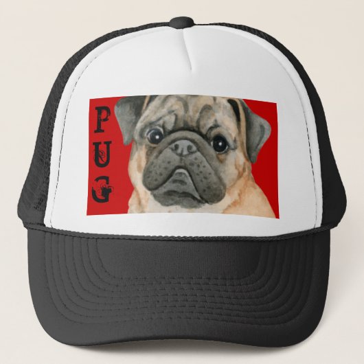 Casquette Bloc de couleur Carlin (Devant)