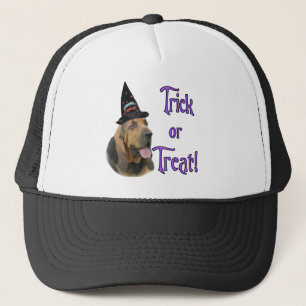 Casquette Bloodhound Trick