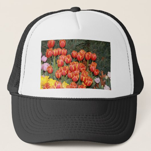 Casquette Bloomin' Tulips ! (Devant)