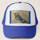 Casquette Blue Bikini Beach Sand Thunder_Cove (Devant)