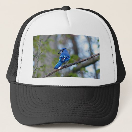 Casquette Blue Jay (Devant)