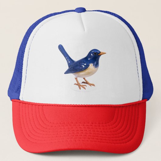 Casquette Bluebird (Devant)