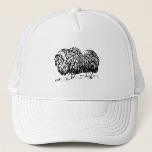 Casquette Boeuf de musc (Devant)