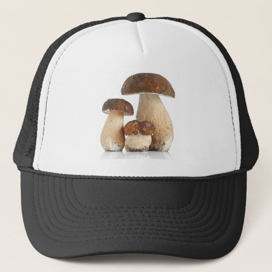 Casquette Boletus edulis (Devant)