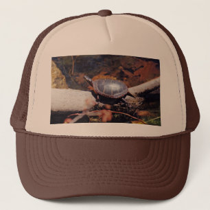 Casquette Bonne tortue