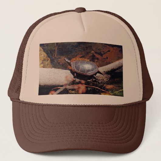 Casquette Bonne tortue (Devant)