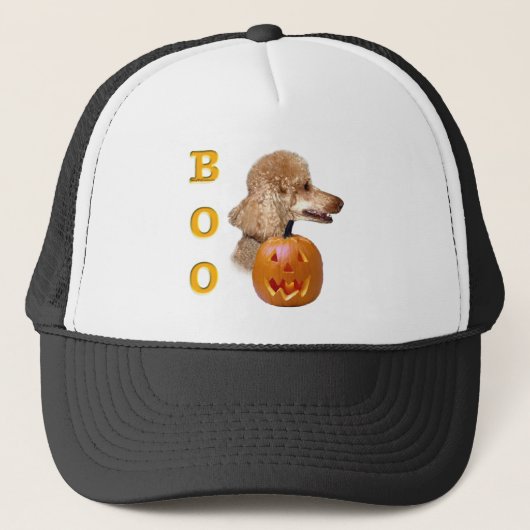 Casquette Boo de caniche recouvert d'abricot (Devant)
