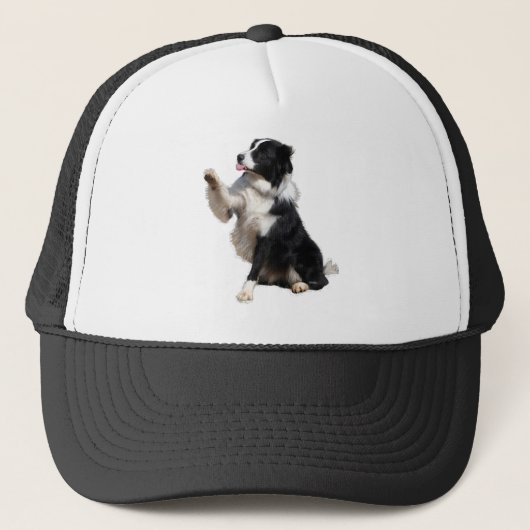 Casquette border collie (Devant)