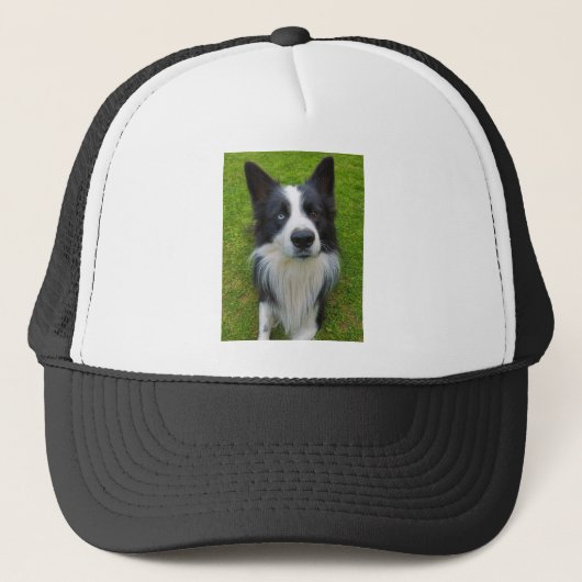 Casquette Bordure Collie (Devant)