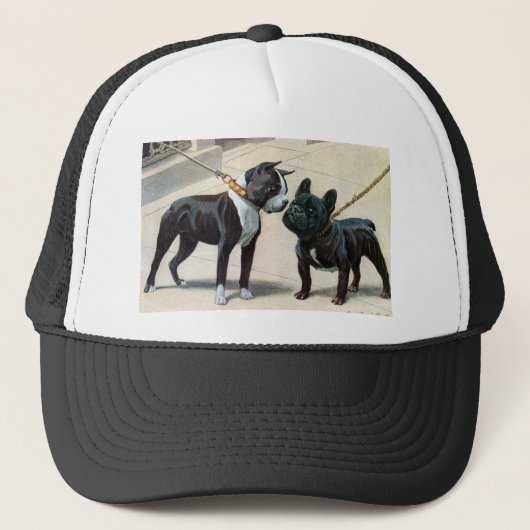 Casquette Boston Terrier et bouledogue français (Devant)