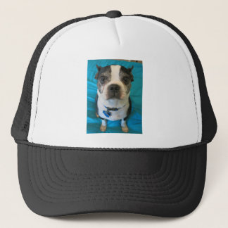 Casquette Boston Terrier se reposant sur un lit