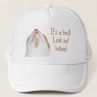 Casquette Bouc d'oiseau