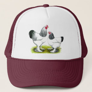 Casquette Brahma : Lumière