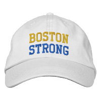 Boston fort