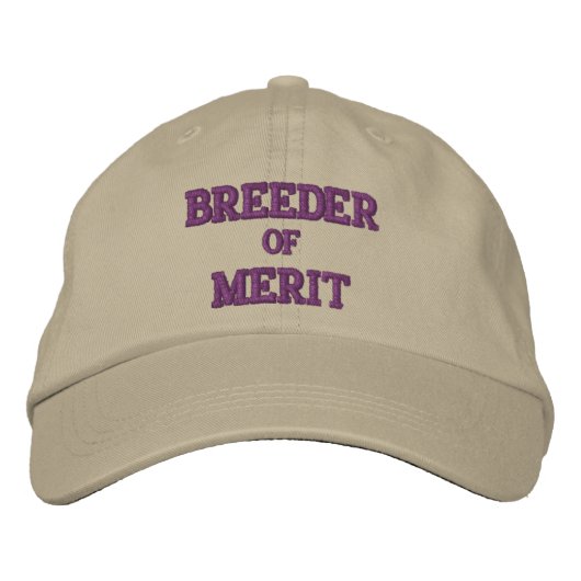 CASQUETTE BRODÉE REVENDEUR DU MERIT (Devant)