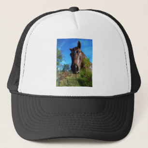 Casquette Brown et crème Couleur Cheval bleu ciel