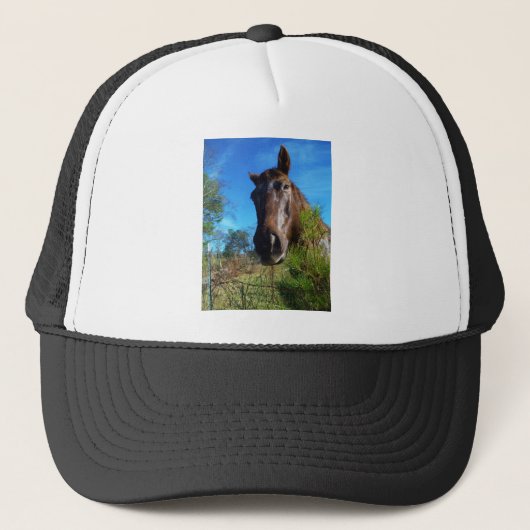Casquette Brown et crème Couleur Cheval bleu ciel (Devant)